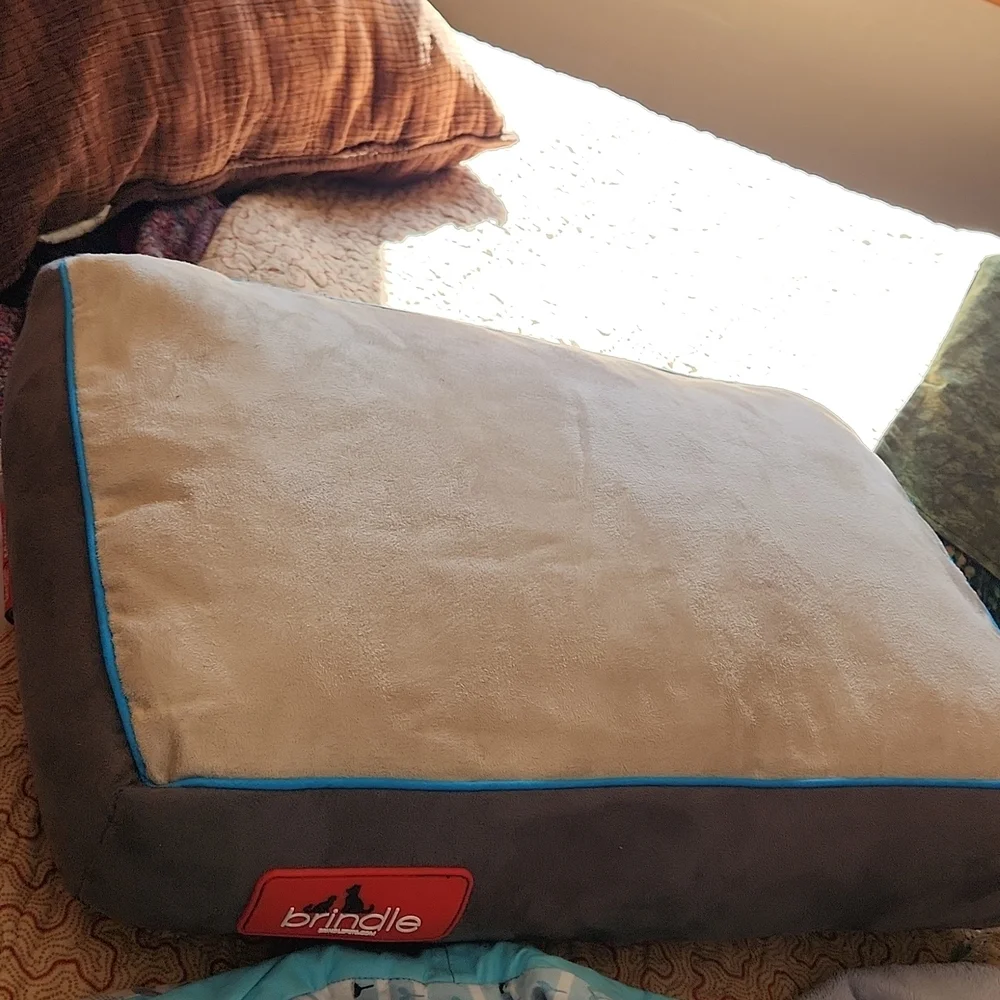 Pet bed